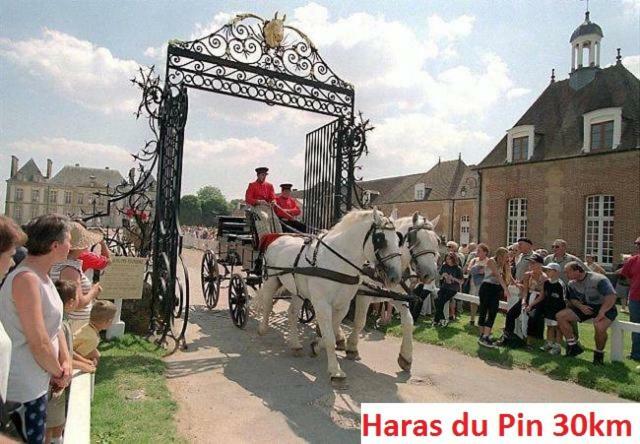 Haras De La Croix D'Argent Bed & Breakfast Saint-Sauveur-de-Carrouges Exterior photo